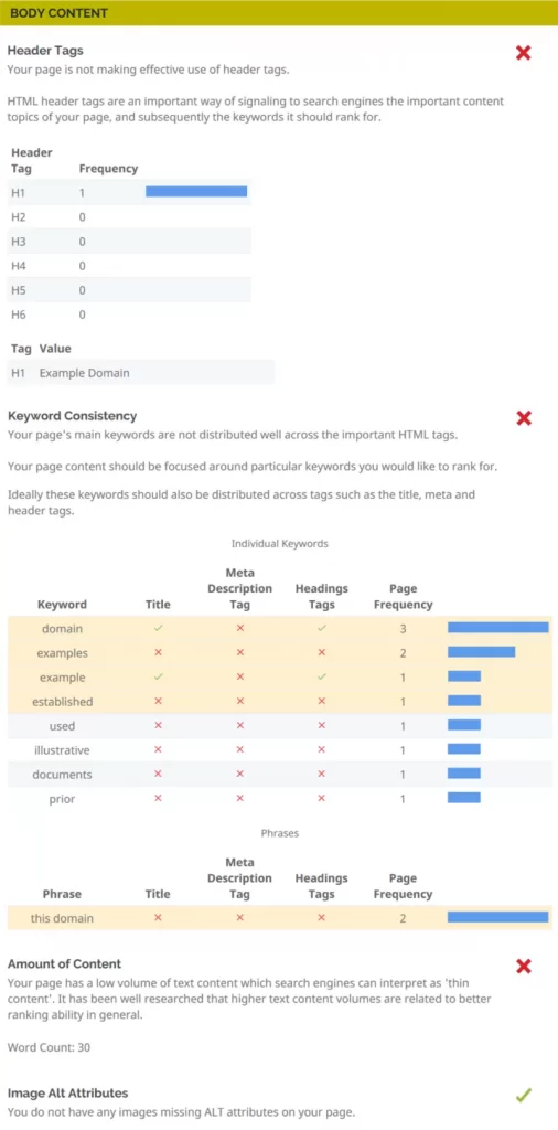 Website Audit Tool Body Content